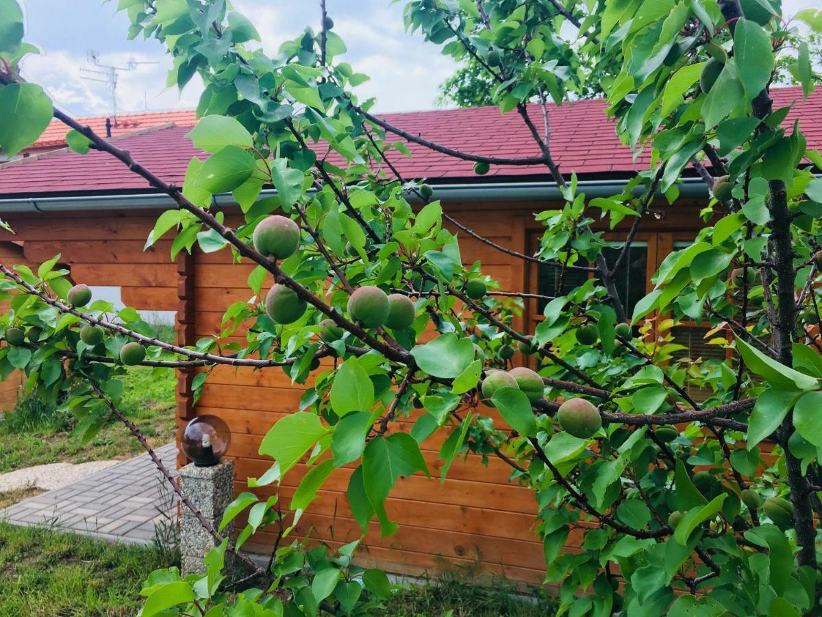 Ubytovani U Lisaka Foxe Villa Bulhary Dış mekan fotoğraf